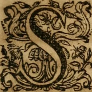 An illustration from Sacrvm oratorivm piarvm imaginvm immacvlatae Mariae et animae creatae : ac baptismo, poenitentia, et evcharistia innovatae : ars nova bene vivendi et moriende, sacris piarum imaginum emblematis figurata & illustrata, 1634, leaf 608