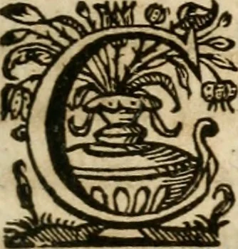 An illustration from Sacrvm oratorivm piarvm imaginvm immacvlatae Mariae et animae creatae : ac baptismo, poenitentia, et evcharistia innovatae : ars nova bene vivendi et moriende, sacris piarum imaginum emblematis figurata & illustrata, 1634, leaf 626