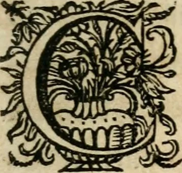 An illustration from Sacrvm oratorivm piarvm imaginvm immacvlatae Mariae et animae creatae : ac baptismo, poenitentia, et evcharistia innovatae : ars nova bene vivendi et moriende, sacris piarum imaginum emblematis figurata & illustrata, 1634, leaf 72