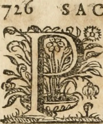 An illustration from Sacrvm oratorivm piarvm imaginvm immacvlatae Mariae et animae creatae : ac baptismo, poenitentia, et evcharistia innovatae : ars nova bene vivendi et moriende, sacris piarum imaginum emblematis figurata & illustrata, 1634, leaf 749