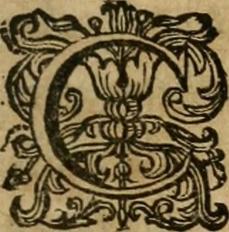 An illustration from Sacrvm oratorivm piarvm imaginvm immacvlatae Mariae et animae creatae : ac baptismo, poenitentia, et evcharistia innovatae : ars nova bene vivendi et moriende, sacris piarum imaginum emblematis figurata & illustrata, 1634, leaf 754