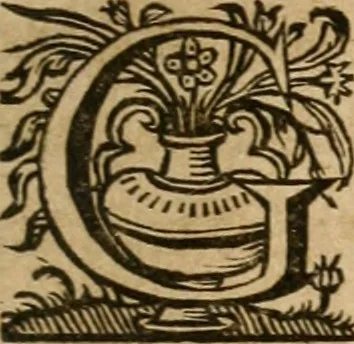 An illustration from Sacrvm oratorivm piarvm imaginvm immacvlatae Mariae et animae creatae : ac baptismo, poenitentia, et evcharistia innovatae : ars nova bene vivendi et moriende, sacris piarum imaginum emblematis figurata & illustrata, 1634, leaf 788