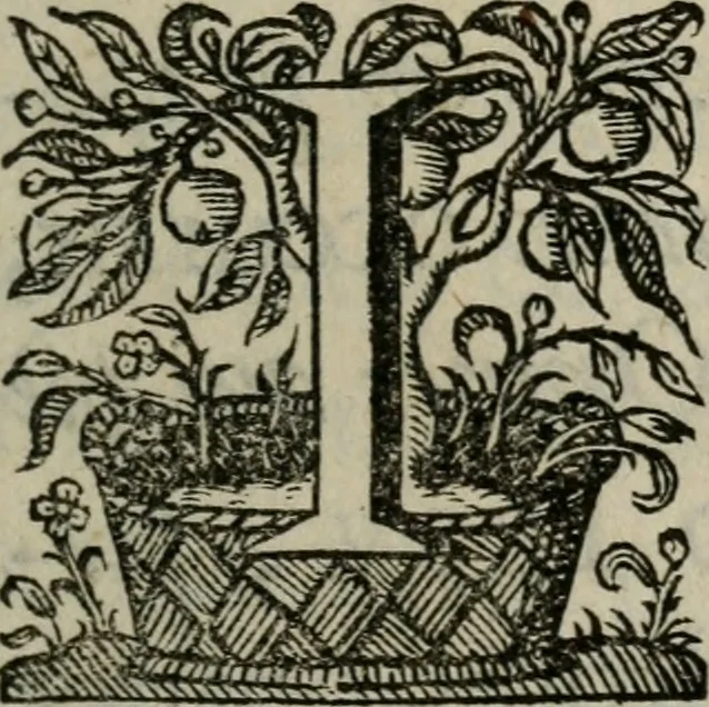 An illustration from Sacrvm sanctvarivm crvcis et patientiae crvcifixorvm et crvciferorvm, emblematicis imaginibvs laborantivm et aegrotantivm ornatvm: artifices gloriosi novae artis bene vivendi et moriendi, 1634, leaf 10