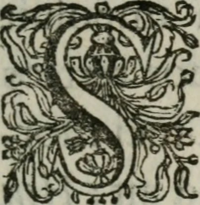An illustration from Sacrvm sanctvarivm crvcis et patientiae crvcifixorvm et crvciferorvm, emblematicis imaginibvs laborantivm et aegrotantivm ornatvm: artifices gloriosi novae artis bene vivendi et moriendi, 1634, leaf 110