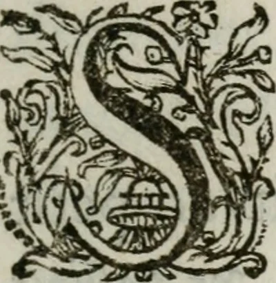 An illustration from Sacrvm sanctvarivm crvcis et patientiae crvcifixorvm et crvciferorvm, emblematicis imaginibvs laborantivm et aegrotantivm ornatvm: artifices gloriosi novae artis bene vivendi et moriendi, 1634, leaf 126