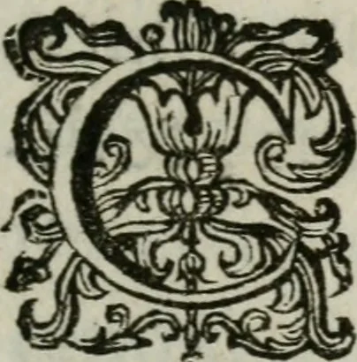 An illustration from Sacrvm sanctvarivm crvcis et patientiae crvcifixorvm et crvciferorvm, emblematicis imaginibvs laborantivm et aegrotantivm ornatvm: artifices gloriosi novae artis bene vivendi et moriendi, 1634, leaf 146