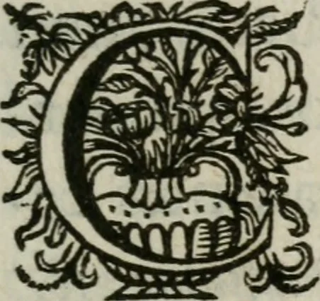 An illustration from Sacrvm sanctvarivm crvcis et patientiae crvcifixorvm et crvciferorvm, emblematicis imaginibvs laborantivm et aegrotantivm ornatvm: artifices gloriosi novae artis bene vivendi et moriendi, 1634, leaf 154