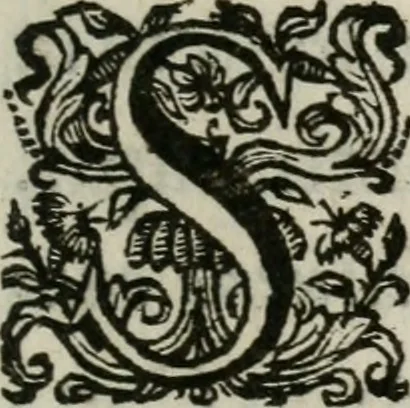 An illustration from Sacrvm sanctvarivm crvcis et patientiae crvcifixorvm et crvciferorvm, emblematicis imaginibvs laborantivm et aegrotantivm ornatvm: artifices gloriosi novae artis bene vivendi et moriendi, 1634, leaf 164