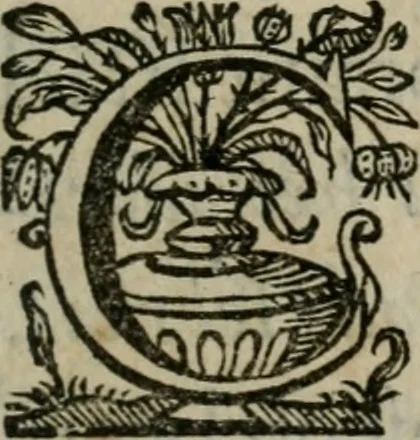 An illustration from Sacrvm sanctvarivm crvcis et patientiae crvcifixorvm et crvciferorvm, emblematicis imaginibvs laborantivm et aegrotantivm ornatvm: artifices gloriosi novae artis bene vivendi et moriendi, 1634, leaf 22