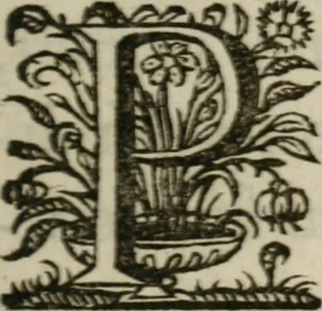 An illustration from Sacrvm sanctvarivm crvcis et patientiae crvcifixorvm et crvciferorvm, emblematicis imaginibvs laborantivm et aegrotantivm ornatvm: artifices gloriosi novae artis bene vivendi et moriendi, 1634, leaf 46