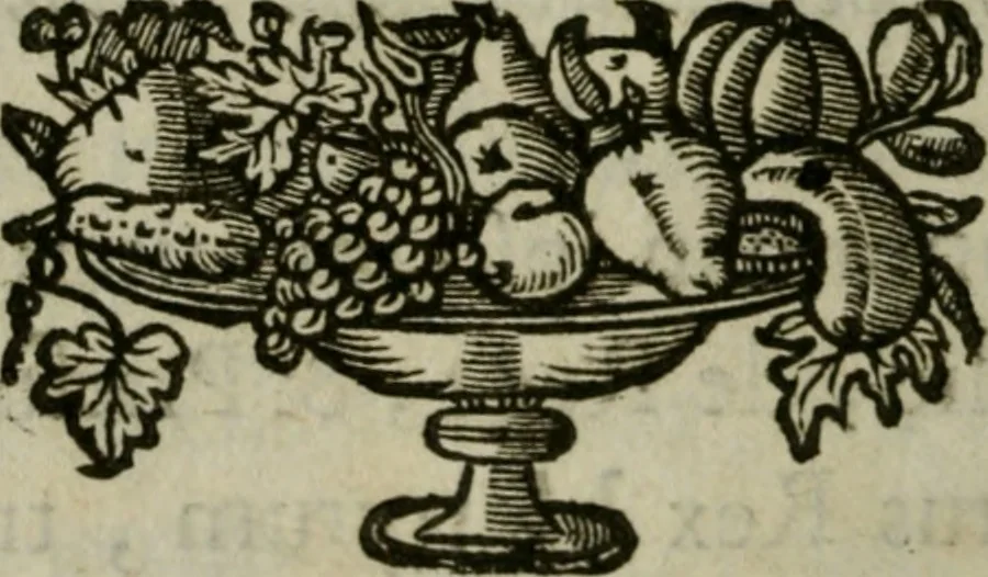 An illustration from Sacrvm sanctvarivm crvcis et patientiae crvcifixorvm et crvciferorvm, emblematicis imaginibvs laborantivm et aegrotantivm ornatvm: artifices gloriosi novae artis bene vivendi et moriendi, 1634, leaf 79