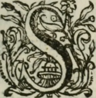 An illustration from Sacrvm sanctvarivm crvcis et patientiae crvcifixorvm et crvciferorvm, emblematicis imaginibvs laborantivm et aegrotantivm ornatvm: artifices gloriosi novae artis bene vivendi et moriendi, 1634, leaf 106