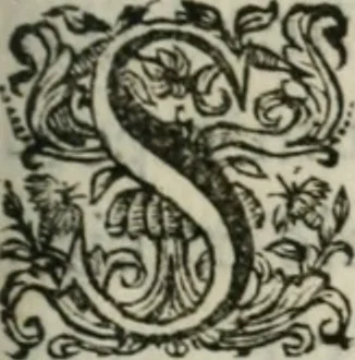 An illustration from Sacrvm sanctvarivm crvcis et patientiae crvcifixorvm et crvciferorvm, emblematicis imaginibvs laborantivm et aegrotantivm ornatvm: artifices gloriosi novae artis bene vivendi et moriendi, 1634, leaf 248