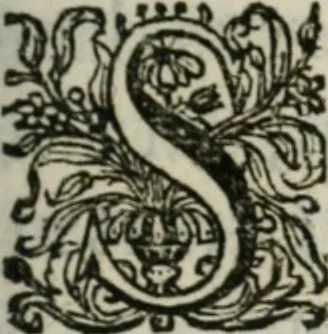 An illustration from Sacrvm sanctvarivm crvcis et patientiae crvcifixorvm et crvciferorvm, emblematicis imaginibvs laborantivm et aegrotantivm ornatvm: artifices gloriosi novae artis bene vivendi et moriendi, 1634, leaf 256