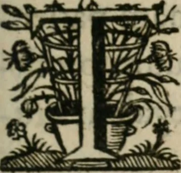 An illustration from Sacrvm sanctvarivm crvcis et patientiae crvcifixorvm et crvciferorvm, emblematicis imaginibvs laborantivm et aegrotantivm ornatvm: artifices gloriosi novae artis bene vivendi et moriendi, 1634, leaf 264
