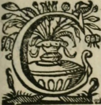 An illustration from Sacrvm sanctvarivm crvcis et patientiae crvcifixorvm et crvciferorvm, emblematicis imaginibvs laborantivm et aegrotantivm ornatvm: artifices gloriosi novae artis bene vivendi et moriendi, 1634, leaf 284