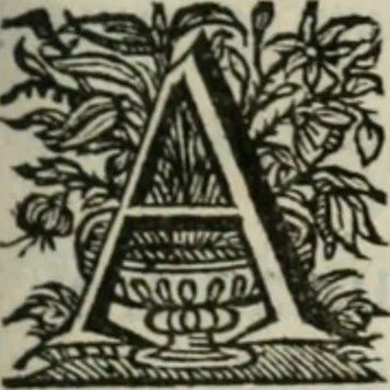 An illustration from Sacrvm sanctvarivm crvcis et patientiae crvcifixorvm et crvciferorvm, emblematicis imaginibvs laborantivm et aegrotantivm ornatvm: artifices gloriosi novae artis bene vivendi et moriendi, 1634, leaf 292