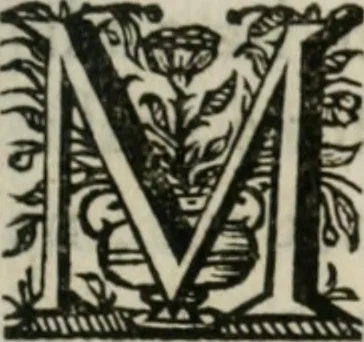 An illustration from Sacrvm sanctvarivm crvcis et patientiae crvcifixorvm et crvciferorvm, emblematicis imaginibvs laborantivm et aegrotantivm ornatvm: artifices gloriosi novae artis bene vivendi et moriendi, 1634, leaf 336