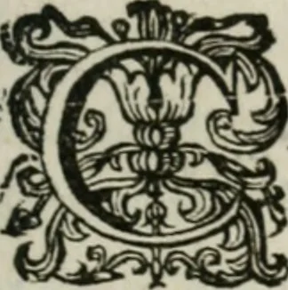 An illustration from Sacrvm sanctvarivm crvcis et patientiae crvcifixorvm et crvciferorvm, emblematicis imaginibvs laborantivm et aegrotantivm ornatvm: artifices gloriosi novae artis bene vivendi et moriendi, 1634, leaf 354