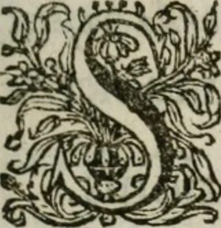 An illustration from Sacrvm sanctvarivm crvcis et patientiae crvcifixorvm et crvciferorvm, emblematicis imaginibvs laborantivm et aegrotantivm ornatvm: artifices gloriosi novae artis bene vivendi et moriendi, 1634, leaf 68