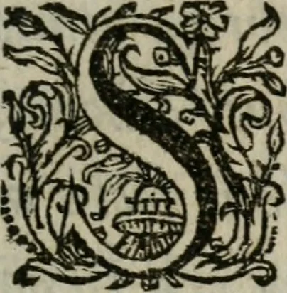 An illustration from Sacrvm sanctvarivm crvcis et patientiae crvcifixorvm et crvciferorvm, emblematicis imaginibvs laborantivm et aegrotantivm ornatvm: artifices gloriosi novae artis bene vivendi et moriendi, 1634, leaf 116