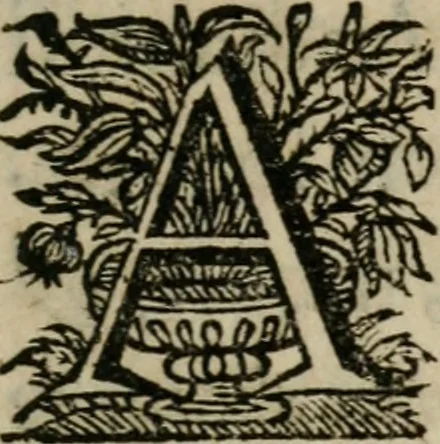 An illustration from Sacrvm sanctvarivm crvcis et patientiae crvcifixorvm et crvciferorvm, emblematicis imaginibvs laborantivm et aegrotantivm ornatvm: artifices gloriosi novae artis bene vivendi et moriendi, 1634, leaf 20
