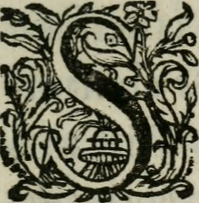 An illustration from Sacrvm sanctvarivm crvcis et patientiae crvcifixorvm et crvciferorvm, emblematicis imaginibvs laborantivm et aegrotantivm ornatvm: artifices gloriosi novae artis bene vivendi et moriendi, 1634, leaf 28