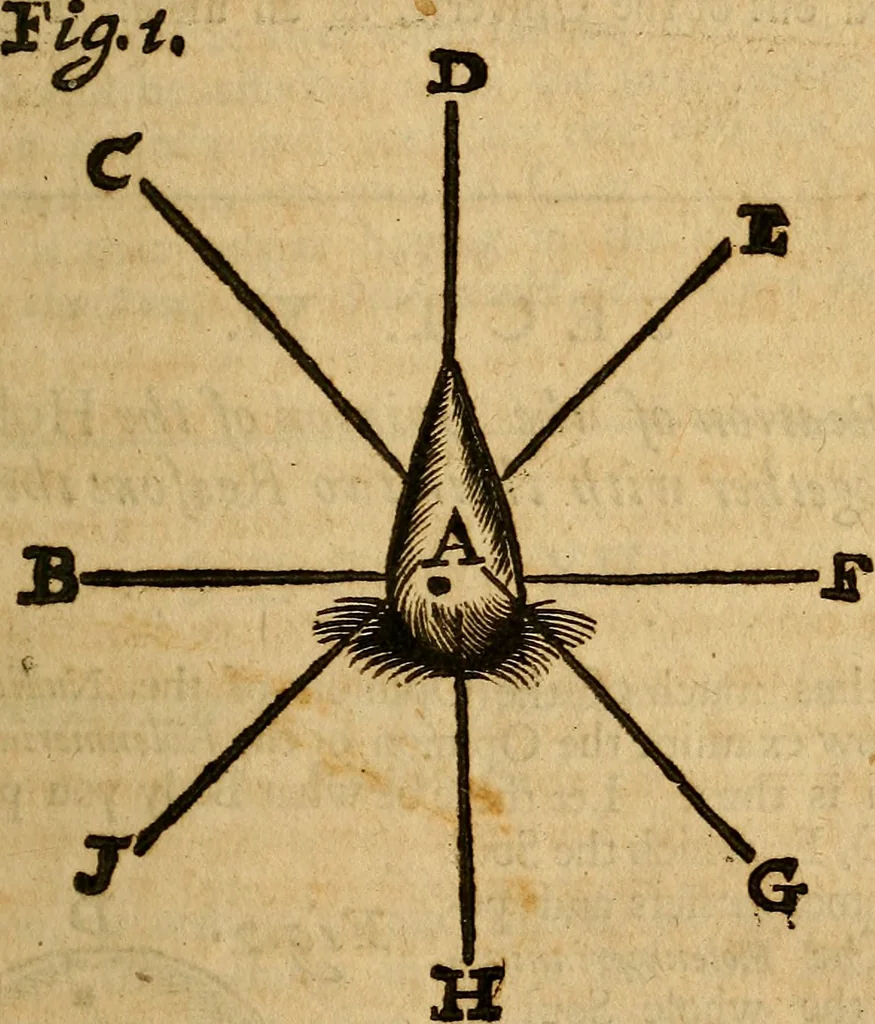 An illustration from Saducismus triumphatus: or, Full and plain evidence concerning witches and apparitions. : In two parts..., 1700, leaf 128