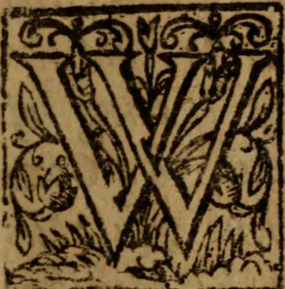 An illustration from The safe religion : or, Three disputations for the reformed catholike religion against popery .., 1657, leaf 8