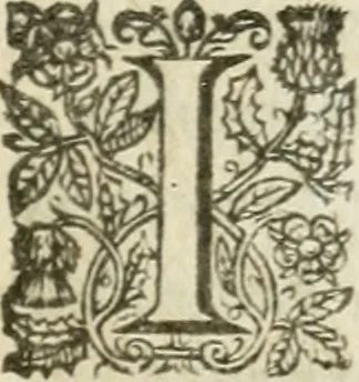 An illustration from Saggi morali de signore Francesco Bacono ... Con vn'altro suo trattato Della sapienza degli antichi. Tradotti in italiano, 1618, leaf 20