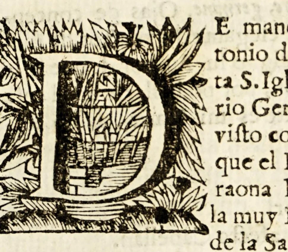 An illustration from Sagrado escudo de armas de la nobleza de Christo, padron de nobles, divisa de caballeros : sermon panegyrico en glorias de la invencion de la cruz, titular fiesta de la nobilissima Archi-cofradia de caballeros de la santa Vera-Cruz de esta ciudad mexicana, sacale a luz su meritissimo actual rector el capitan D. Francisco Ansaldo, y Peralta para que en nombre suyo, y de todos sus generosiisimos [sic] heroes, y capitulares illustres gratame[n]te sea dirigido, y con felicidad dedicado a el excellentissimo señor D. Gaspar de Sandoval, Cerda, Sylva, y Mendoza conde de Galve, gentil hombre de la camara de su magestad comendador de las encomiendas de Salamea, y Ceclavin en la Orden, y Caballeria de Alcantara, alcayde perpetuo de los reales alcaçares, puertas, y puentes de la ciudad de Tolledo, y de el castillo, y torres de Leon; señor de las villas de Tortola, y Zacedon, de el consejo de su magestad, su virrey, lugar-teniente governador, capitan general, y presidente de la Real Audiencia, y chancilleria de esta Nueva-España. A cuya benignidad, y grandeza lo ofrece en humilde obsequio, 1692, leaf 13
