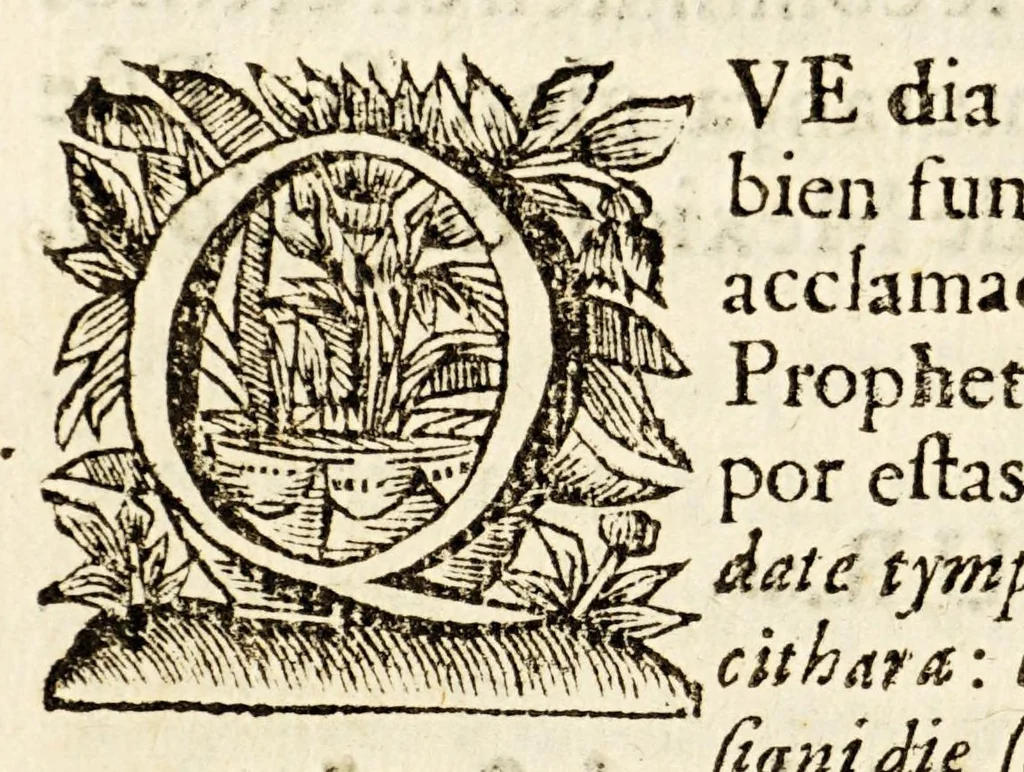 An illustration from Sagrado padron y panegyricos sermones a la memoria debida al sumptuoso magnifico templo, y curiosa basílica del convento de religiosas del glorioso abad San Bernardo, : que edificò en su mayor parte el capitan D. Ioseph de Retes Largache, difu[n]to cavallero del Orden de Santiago, y consumaron en su cabal perfeccion su sobrino don Domingo de Retes, y doña Teresa de Retes y Paz, su hija, en esta dos vezes imperial, y siempre leal ciudad de Mexico, con la pompa funebre de la translacion de sus huessos, que erige en descripcion historica panegyrica,, 1691, leaf 118