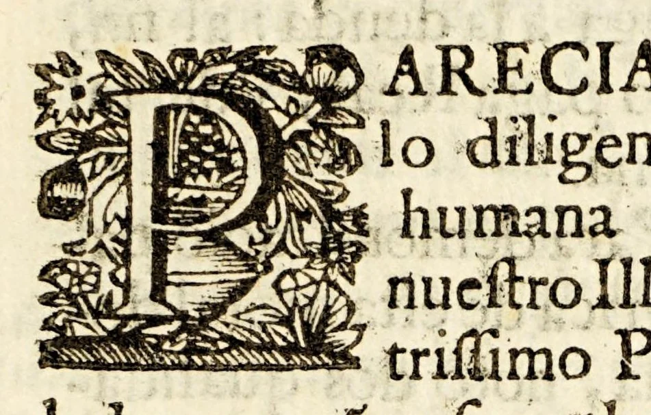 An illustration from Sagrado padron y panegyricos sermones a la memoria debida al sumptuoso magnifico templo, y curiosa basílica del convento de religiosas del glorioso abad San Bernardo, : que edificò en su mayor parte el capitan D. Ioseph de Retes Largache, difu[n]to cavallero del Orden de Santiago, y consumaron en su cabal perfeccion su sobrino don Domingo de Retes, y doña Teresa de Retes y Paz, su hija, en esta dos vezes imperial, y siempre leal ciudad de Mexico, con la pompa funebre de la translacion de sus huessos, que erige en descripcion historica panegyrica,, 1691, leaf 177