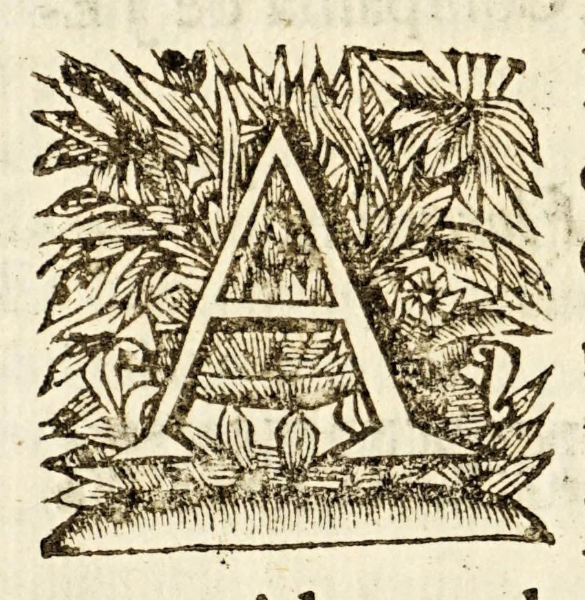An illustration from Sagrado padron y panegyricos sermones a la memoria debida al sumptuoso magnifico templo, y curiosa basílica del convento de religiosas del glorioso abad San Bernardo, : que edificò en su mayor parte el capitan D. Ioseph de Retes Largache, difu[n]to cavallero del Orden de Santiago, y consumaron en su cabal perfeccion su sobrino don Domingo de Retes, y doña Teresa de Retes y Paz, su hija, en esta dos vezes imperial, y siempre leal ciudad de Mexico, con la pompa funebre de la translacion de sus huessos, que erige en descripcion historica panegyrica,, 1691, leaf 18