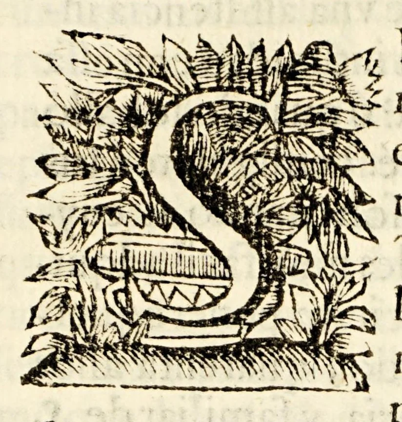 An illustration from Sagrado padron y panegyricos sermones a la memoria debida al sumptuoso magnifico templo, y curiosa basílica del convento de religiosas del glorioso abad San Bernardo, : que edificò en su mayor parte el capitan D. Ioseph de Retes Largache, difu[n]to cavallero del Orden de Santiago, y consumaron en su cabal perfeccion su sobrino don Domingo de Retes, y doña Teresa de Retes y Paz, su hija, en esta dos vezes imperial, y siempre leal ciudad de Mexico, con la pompa funebre de la translacion de sus huessos, que erige en descripcion historica panegyrica,, 1691, leaf 39