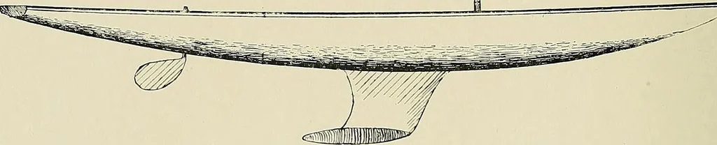 An illustration from The sailing boat, a treatise on sailing boats and small yachts, their varieties of type, sails, rig, etc. With practical directions for sailing and management; also, the one-design and restricted classes, fishing and shooting boats, sailing chariots and ice yachts, foreign and colonial boats, canoes, etc., etc, 1901, leaf 139