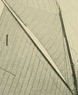 An illustration from The sailing boat, a treatise on sailing boats and small yachts, their varieties of type, sails, rig, etc. With practical directions for sailing and management; also, the one-design and restricted classes, fishing and shooting boats, sailing chariots and ice yachts, foreign and colonial boats, canoes, etc., etc, 1901, leaf 167