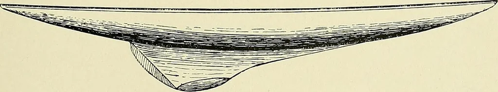 An illustration from The sailing boat, a treatise on sailing boats and small yachts, their varieties of type, sails, rig, etc. With practical directions for sailing and management; also, the one-design and restricted classes, fishing and shooting boats, sailing chariots and ice yachts, foreign and colonial boats, canoes, etc., etc, 1901, leaf 190