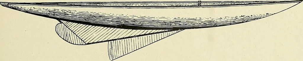 An illustration from The sailing boat, a treatise on sailing boats and small yachts, their varieties of type, sails, rig, etc. With practical directions for sailing and management; also, the one-design and restricted classes, fishing and shooting boats, sailing chariots and ice yachts, foreign and colonial boats, canoes, etc., etc, 1901, leaf 244