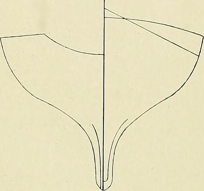 An illustration from The sailing boat, a treatise on sailing boats and small yachts, their varieties of type, sails, rig, etc. With practical directions for sailing and management; also, the one-design and restricted classes, fishing and shooting boats, sailing chariots and ice yachts, foreign and colonial boats, canoes, etc., etc, 1901, leaf 268