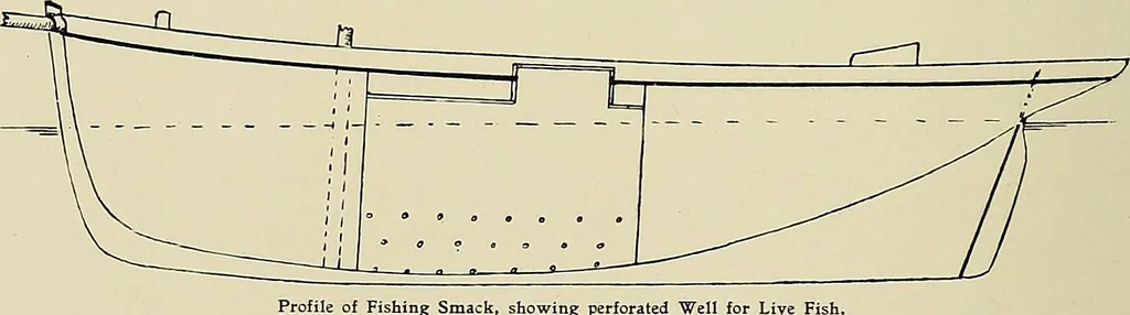 An illustration from The sailing boat, a treatise on sailing boats and small yachts, their varieties of type, sails, rig, etc. With practical directions for sailing and management; also, the one-design and restricted classes, fishing and shooting boats, sailing chariots and ice yachts, foreign and colonial boats, canoes, etc., etc, 1901, leaf 353