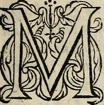 An illustration from Sailm Dhaibhidh a meadar dha Gaoidheilg, do rr na Heabhra: : agus na translioin is fearr a Mbrla agus a Nlaidin, do thionnsgnadh le Seanadh Earraghaoidheal san bhliadhna 1659, agus anois air a ntabhairt gu crich, do chum gu dnta an seinm a Neaglaisaibh agus a dteaghlachaibh a ghnathuigheas an chamhain sin., 1694, leaf 290
