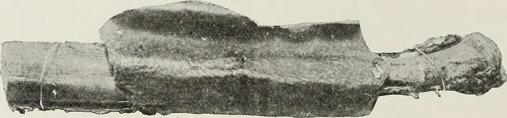 An illustration from Saint-Philibert de Tournus, 1905, leaf 405