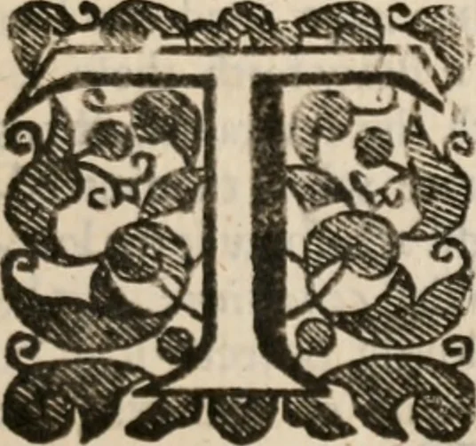 An illustration from The saints everlasting rest: or, A treatise of the blessed state of the saints in their enjoyment of God in glory. Wherein is shewed its excellency and certainty; the misery of those that lose it; the way to attain it, and assurance of it; and how to live in the continual delightful foretasts of it, by the help of meditation, 1651, leaf 1008
