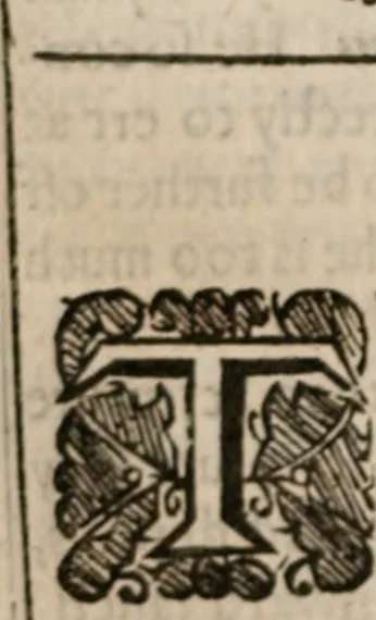 An illustration from The saints everlasting rest: or, A treatise of the blessed state of the saints in their enjoyment of God in glory. Wherein is shewed its excellency and certainty; the misery of those that lose it; the way to attain it, and assurance of it; and how to live in the continual delightful foretasts of it, by the help of meditation, 1651, leaf 117