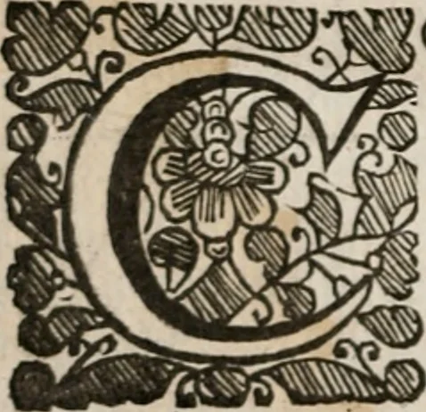 An illustration from The saints everlasting rest: or, A treatise of the blessed state of the saints in their enjoyment of God in glory. Wherein is shewed its excellency and certainty; the misery of those that lose it; the way to attain it, and assurance of it; and how to live in the continual delightful foretasts of it, by the help of meditation, 1651, leaf 23