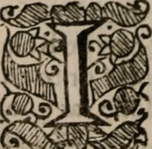 An illustration from The saints everlasting rest: or, A treatise of the blessed state of the saints in their enjoyment of God in glory. Wherein is shewed its excellency and certainty; the misery of those that lose it; the way to attain it, and assurance of it; and how to live in the continual delightful foretasts of it, by the help of meditation, 1651, leaf 379