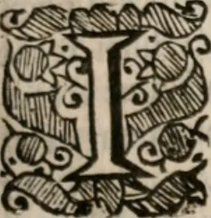 An illustration from The saints everlasting rest: or, A treatise of the blessed state of the saints in their enjoyment of God in glory. Wherein is shewed its excellency and certainty; the misery of those that lose it; the way to attain it, and assurance of it; and how to live in the continual delightful foretasts of it, by the help of meditation, 1651, leaf 44