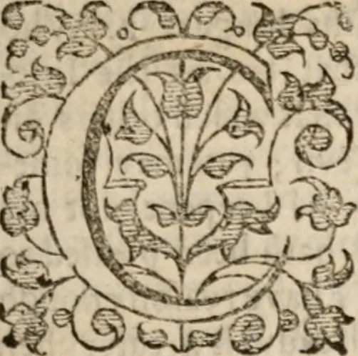 An illustration from The saints everlasting rest; or, A treatise of the blessed state of the saints in their enjoyment of God in glory. Wherein is shewed its excellency and certainty; the misery of those that lose it, the way to attain it, and assurance of it; and how to live in the continual delightful foretasts of it by the help of meditation, 1658, leaf 22