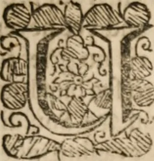 An illustration from The saints everlasting rest; or, A treatise of the blessed state of the saints in their enjoyment of God in glory. Wherein is shewed its excellency and certainty; the misery of those that lose it, the way to attain it, and assurance of it; and how to live in the continual delightful foretasts of it by the help of meditation, 1658, leaf 578